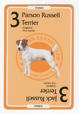 PARSON JACK RUSSELL TERRIER AMERICAN KENNEL CLUB DOG COLLECTABLE TRADING CARD
