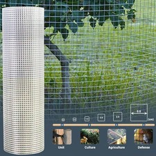 Galvanised Chicken Wire Mesh