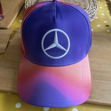 Mercedes F1 Team Lewis