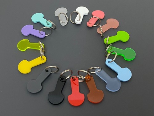 Shopping trolley coin - trolley, key