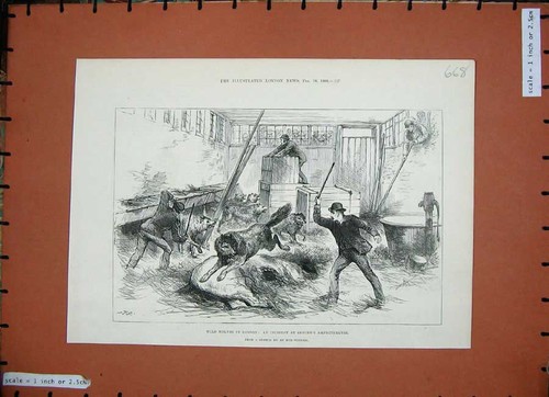 Original old antique - old, print