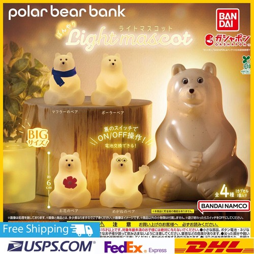 Polar bear bank bonari - bear,