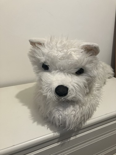 Cute soft hooli - hooli, puppy
