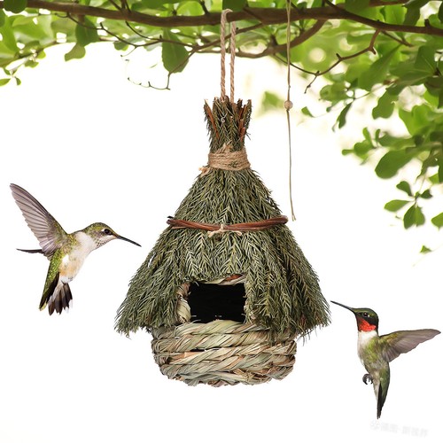 Birds nest bird cage - birds,