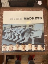 Vintage vinyl divine madness - vintage,