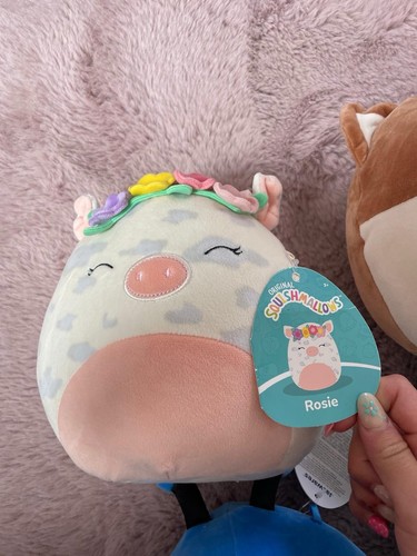 Squishmallows rosie the pig - squishmallows,