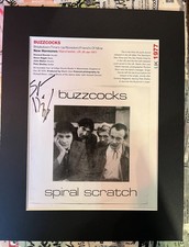 BUZZCOCKS - PERSONALLY SIGNED - Mounted Glossy Page 7” Cover Steve DIGGLE 