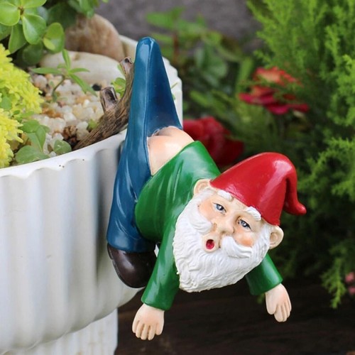 Funny mini gnome - funny,