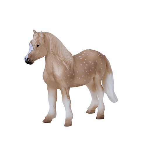 Welsh pony horse - welsh, model