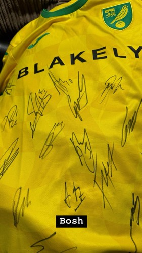 Norwich city 2024 shirt - city,