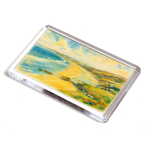 Fridge magnet woolacombe - fridge,
