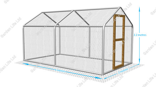Walk chicken run - walk, in