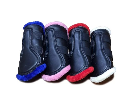 Brushing horse boots - horse,