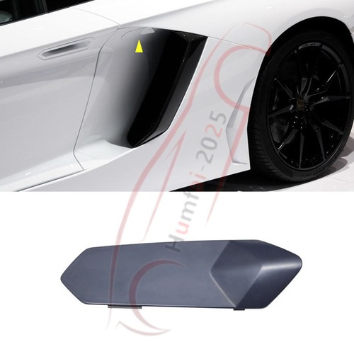 Unpainted left side - side, door