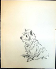 Original Old Vintage Print