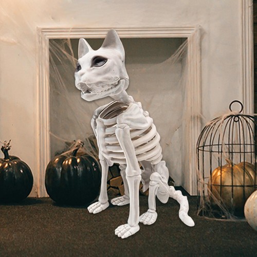 Realistic cat skeleton - realistic,