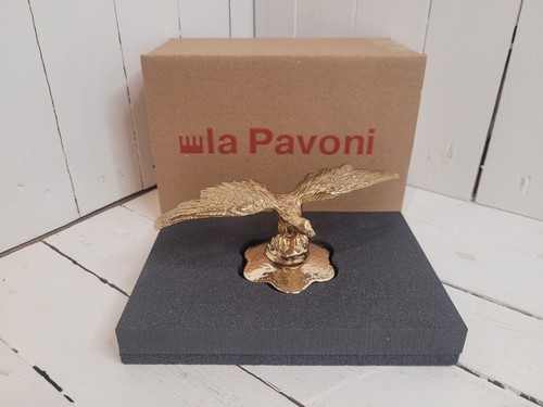 Pavoni golden eagle - golden,