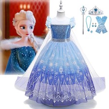 Frozen Elsa Fancy Dress Up