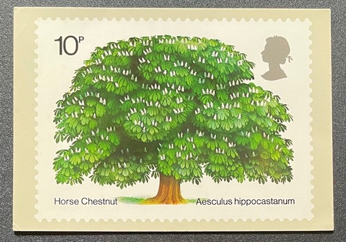 1974 phq the - 1974, chestnut