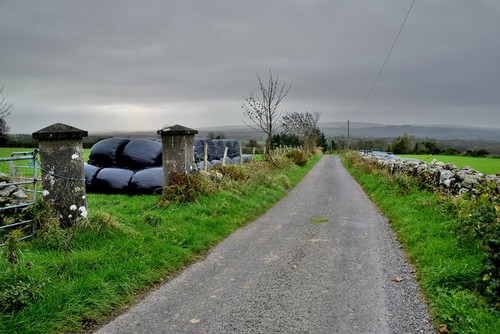 Photo 6x4 silage bales - 6x4,