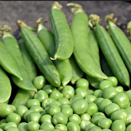 Easy grow your own - easy,