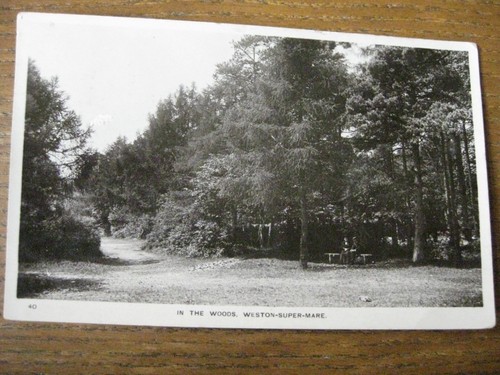 The woods - in,