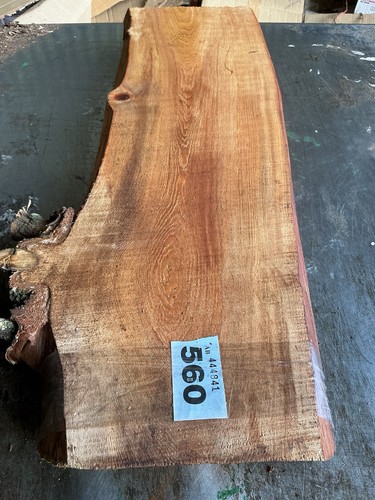 Cedar lebanon - of, lebanon,cedar