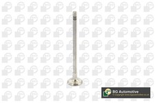 V737875 BGA Exhaust Valve for