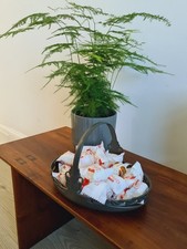 Liberty & Co Archibold Knox