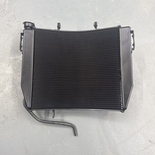 OEM NEW TRIUMPH STREET TRIPLE