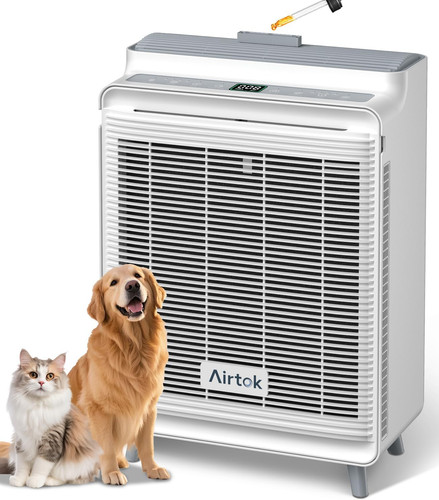 Air purifier for - air,