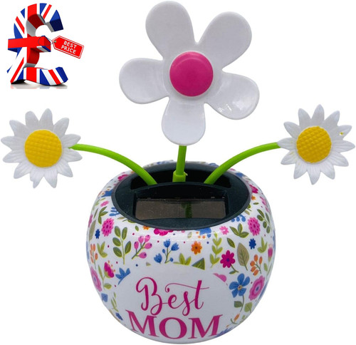 White daisy flower solar - white,