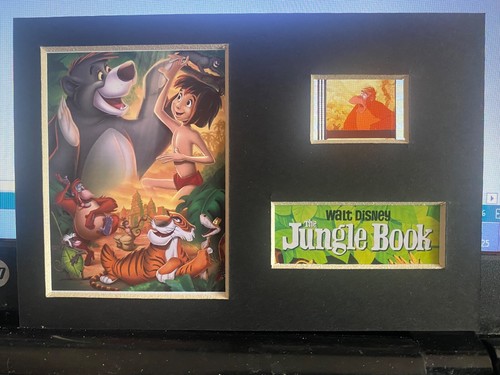 6x4 disney jungle book - jungle,