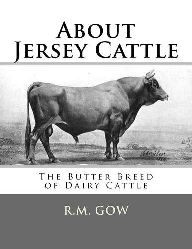 About jersey cattle the - jersey, cattle: