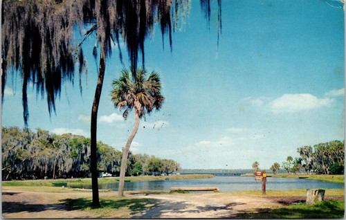Myakka river state park - park, near