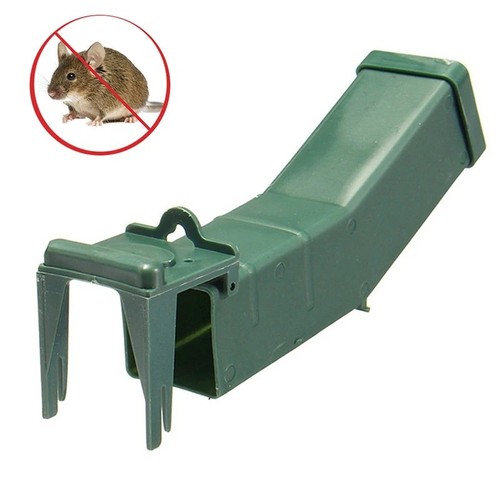 Humane mouse trap - mouse, no