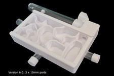 First ant nest starter colony