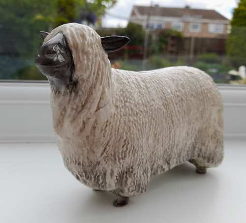 Beswick wensleydale sheep - sheep, mn