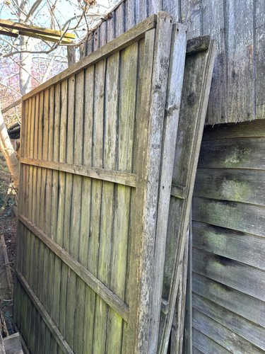 6x6 ft garden - ft,