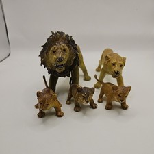 Lion Family AAA ELC early