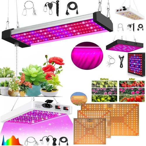Grow lights for indoor - for, plants