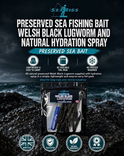 Preserved sea fishing bait - sea,