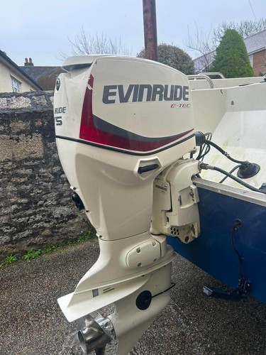 2019 evinrude 75hp - evinrude,