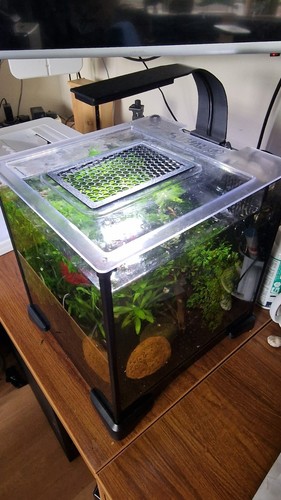 Lid feed cover for fluval - for,