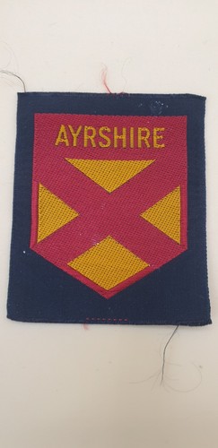 Ayrshire boy scout - boy, ribbon