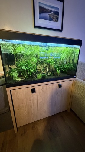 Fluval roma 200 - roma, and