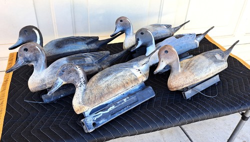 Flambeau pintail duck - pintail, decoys