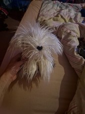 Dulux Paint Dog Soft Toy Plush