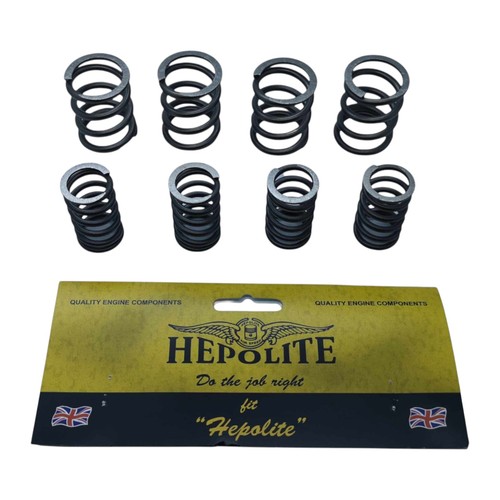 Hepolite valve spring set - hepolite, 8