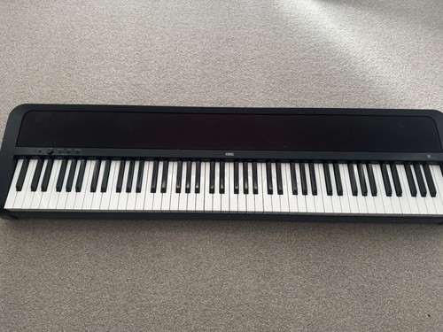 Korg piano with bag and - b1,